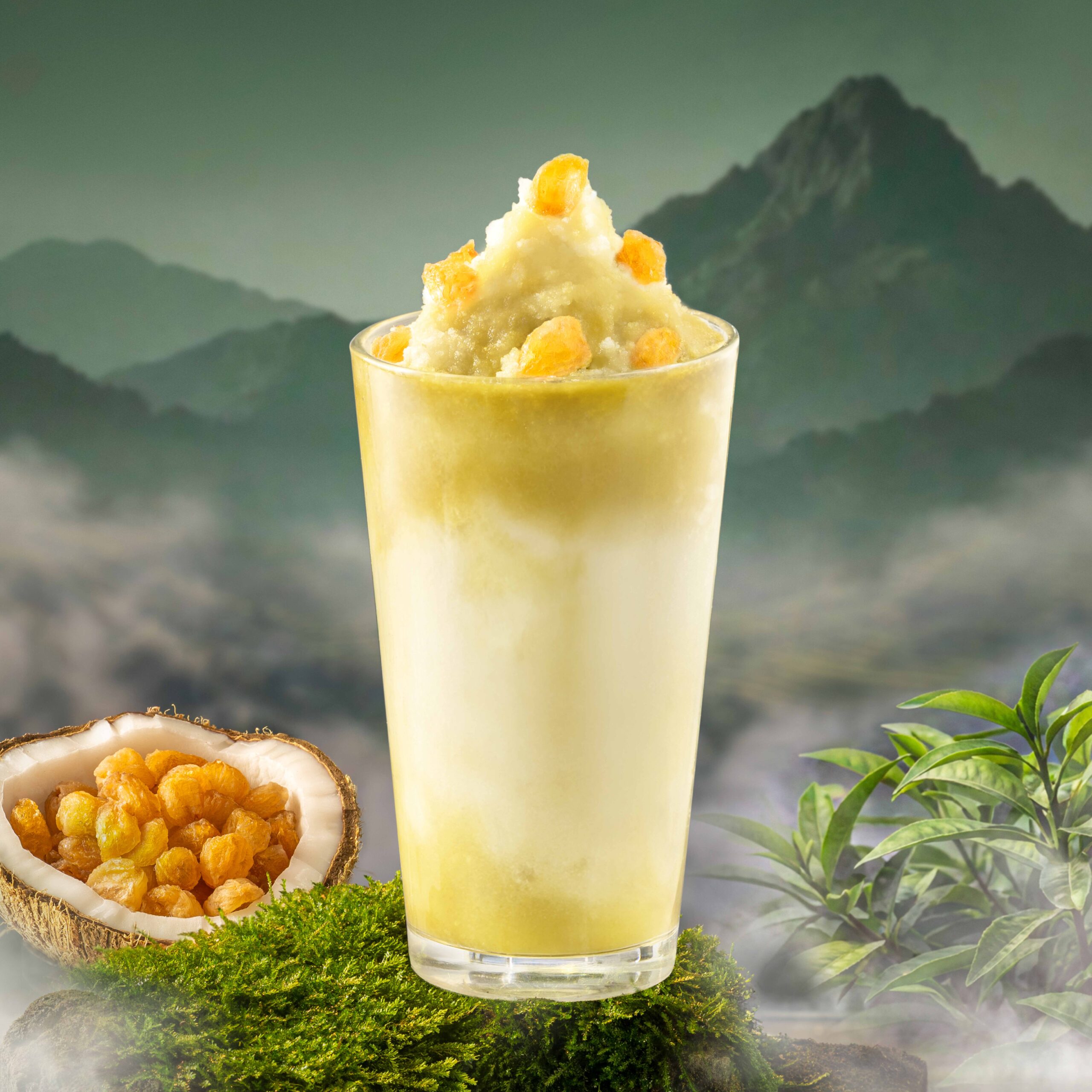 PHAN XI PĂNG LONG NHÃN